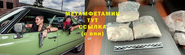 гидра Михайловка