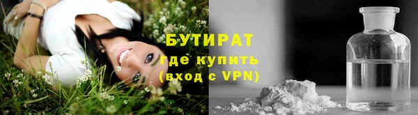 гидра Михайловка