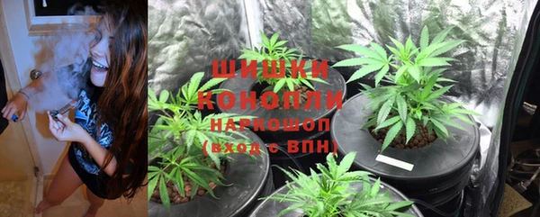 гидра Михайловка
