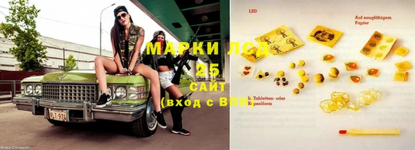 гашик Медногорск