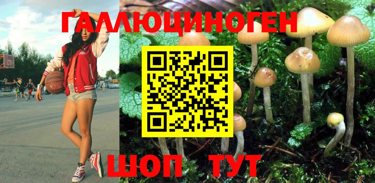 Псилоцибиновые грибы MAGIC MUSHROOMS Дюртюли